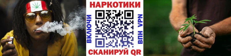 Где продают наркотики Подольск Cocaine Меф Альфа ПВП АМФЕТАМИН Конопля