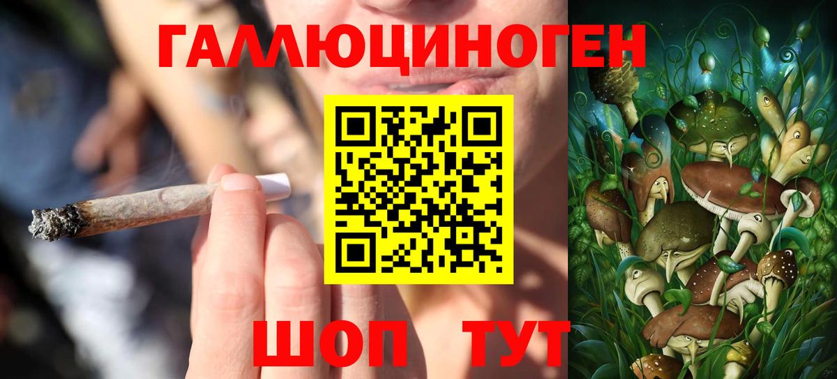 Псилоцибиновые грибы Psilocybine cubensis  Вход с VPN  Подольск 